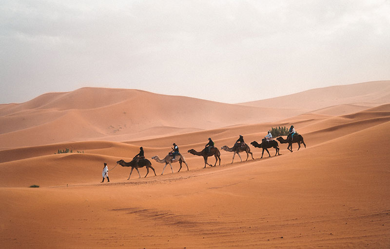 Morocco From North to South 11 days 10 Nights